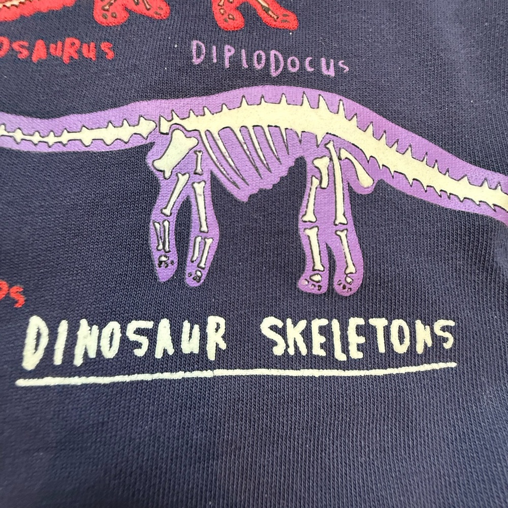 Fauxden Dinosaur Fossil Sweatshirt 5-6 Years - Picture 3 of 4